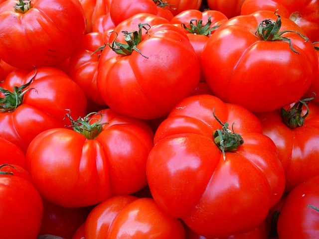 トマトの栄養素と効能