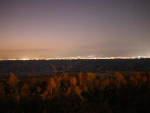 パームガーデン舞洲対岸の夜景